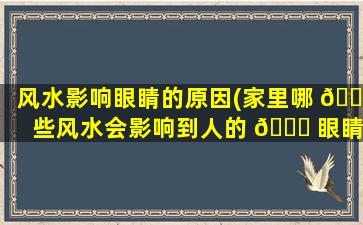 风水影响眼睛的原因(家里哪 🍀 些风水会影响到人的 🐅 眼睛出现问题)